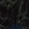 clipThumbnail