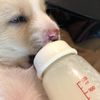 clipThumbnail