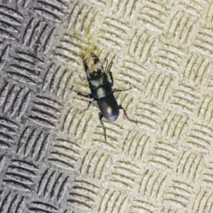 まだ春マンションの玄関前にの画像