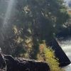 clipThumbnail