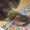 clipThumbnail
