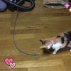 clipThumbnail