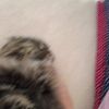 clipThumbnail
