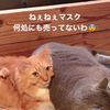 clipThumbnail