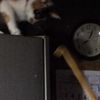 clipThumbnail