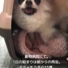 clipThumbnail