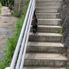 clipThumbnail