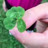 clipThumbnail