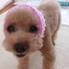clipThumbnail