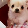 clipThumbnail