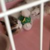 clipThumbnail