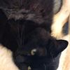 clipThumbnail