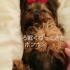 clipThumbnail