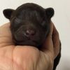 clipThumbnail