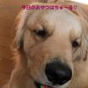 clipThumbnail
