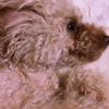 clipThumbnail
