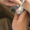 clipThumbnail
