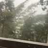 clipThumbnail