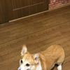 clipThumbnail