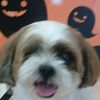 clipThumbnail