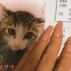 clipThumbnail