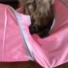 clipThumbnail