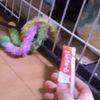 clipThumbnail