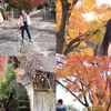clipThumbnail