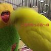 clipThumbnail