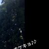clipThumbnail