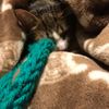 clipThumbnail