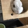 clipThumbnail