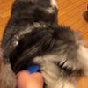 clipThumbnail