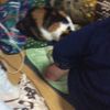 clipThumbnail