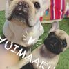 clipThumbnail