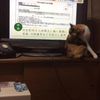 clipThumbnail