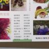 clipThumbnail