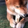 clipThumbnail