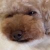 clipThumbnail