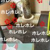 clipThumbnail