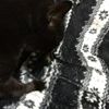 clipThumbnail