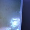clipThumbnail