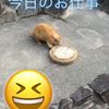 clipThumbnail