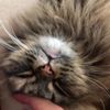 clipThumbnail