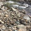 clipThumbnail