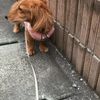 clipThumbnail