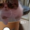 clipThumbnail