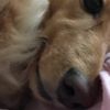 clipThumbnail