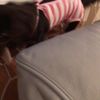 clipThumbnail