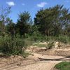 clipThumbnail
